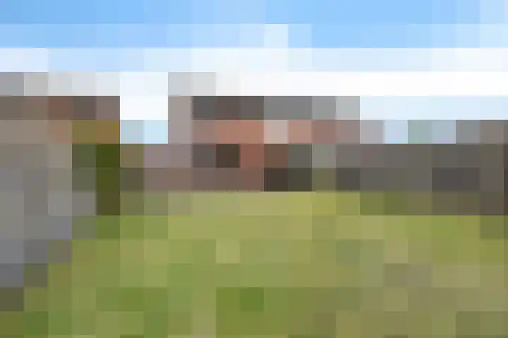 Eggeweg 8 Nieuw-Amsterdam thumbnail 28
