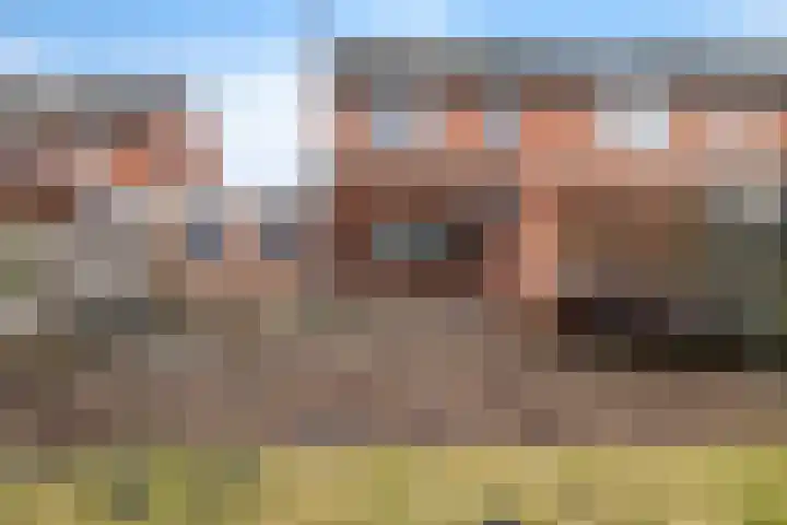 Eggeweg 8 Nieuw-Amsterdam thumbnail 29