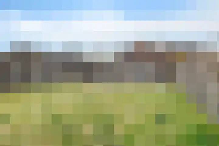 Eggeweg 8 Nieuw-Amsterdam thumbnail 30