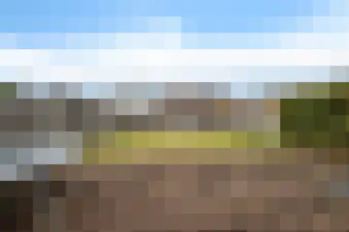 Eggeweg 8 Nieuw-Amsterdam thumbnail 31
