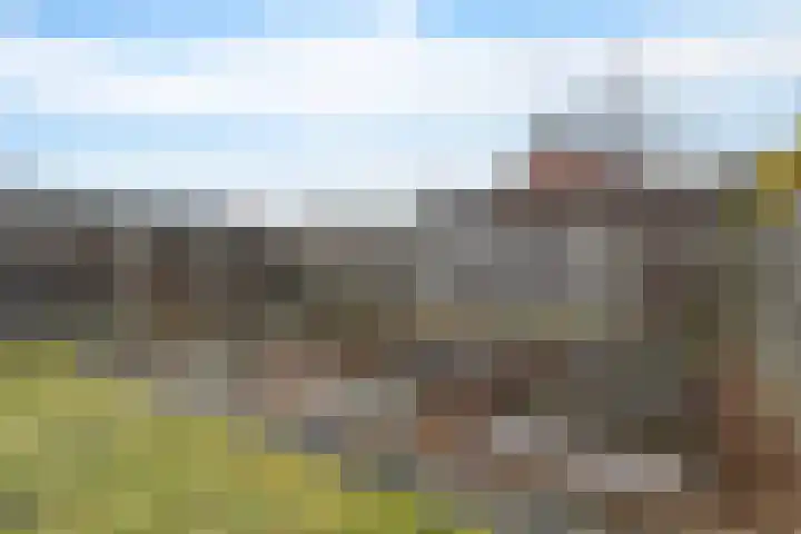 Eggeweg 8 Nieuw-Amsterdam thumbnail 32