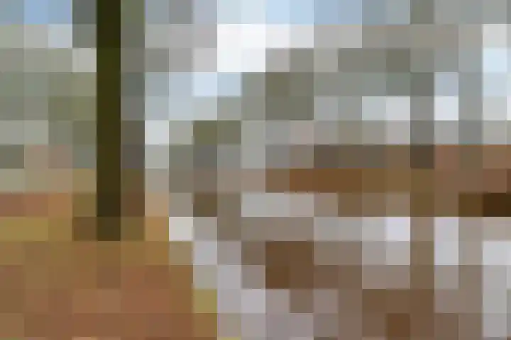 Eggeweg 8 Nieuw-Amsterdam thumbnail 33