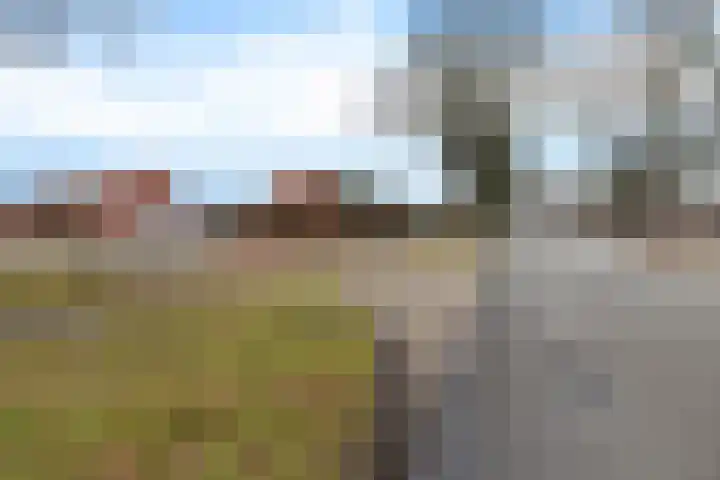 Eggeweg 8 Nieuw-Amsterdam thumbnail 34