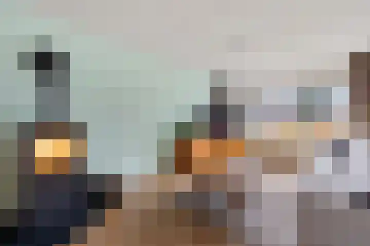 Eggeweg 8 Nieuw-Amsterdam thumbnail 6