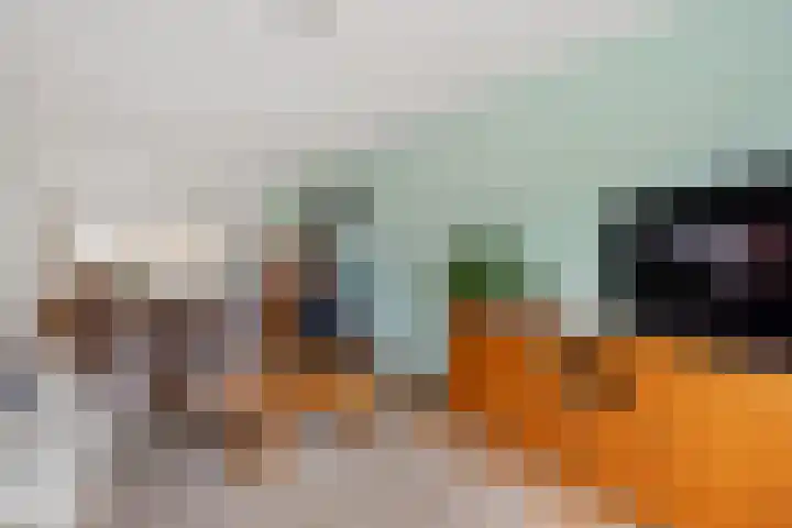 Eggeweg 8 Nieuw-Amsterdam thumbnail 9