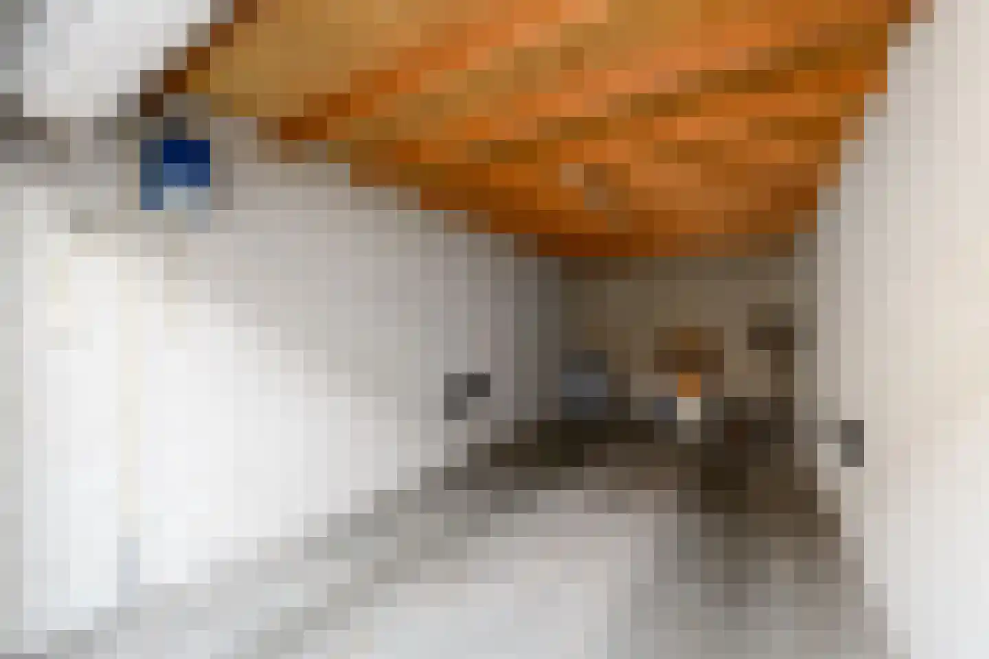 Egginklaan 2 16 Havelte thumbnail 26