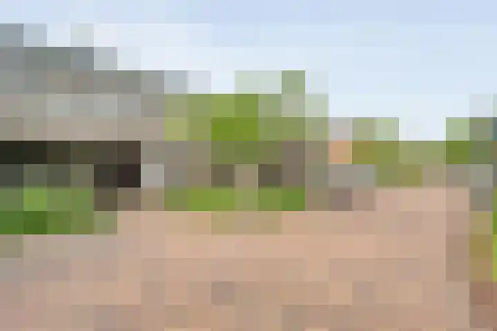 Egginklaan 2 24 Havelte thumbnail 10