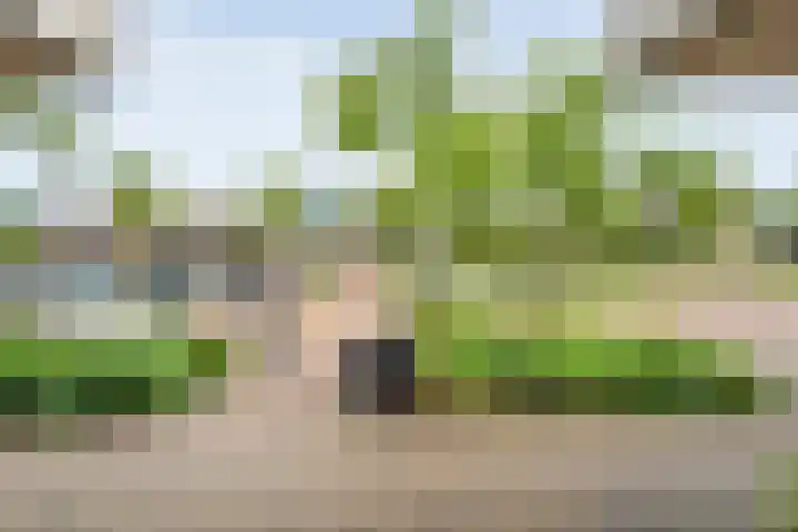 Egginklaan 2 24 Havelte thumbnail 11