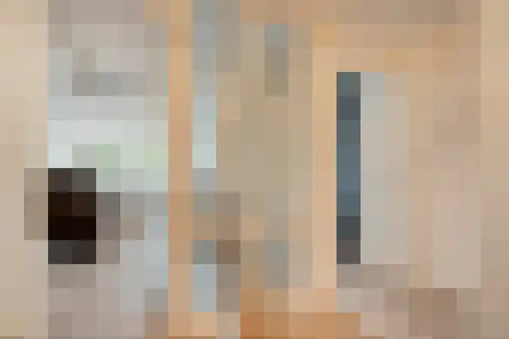 Egginklaan 2 24 Havelte thumbnail 19