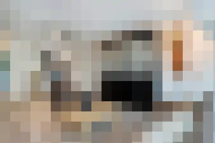 Egginklaan 2 24 Havelte thumbnail 21