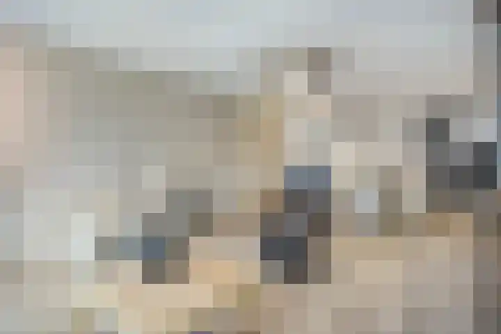 Egginklaan 2 24 Havelte thumbnail 22