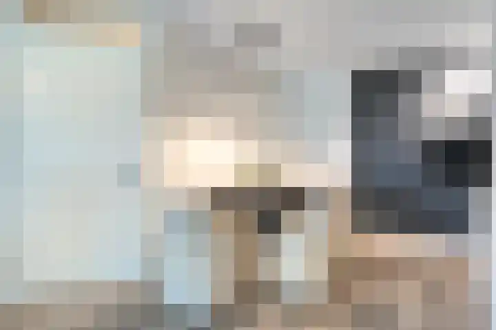 Egginklaan 2 24 Havelte thumbnail 24