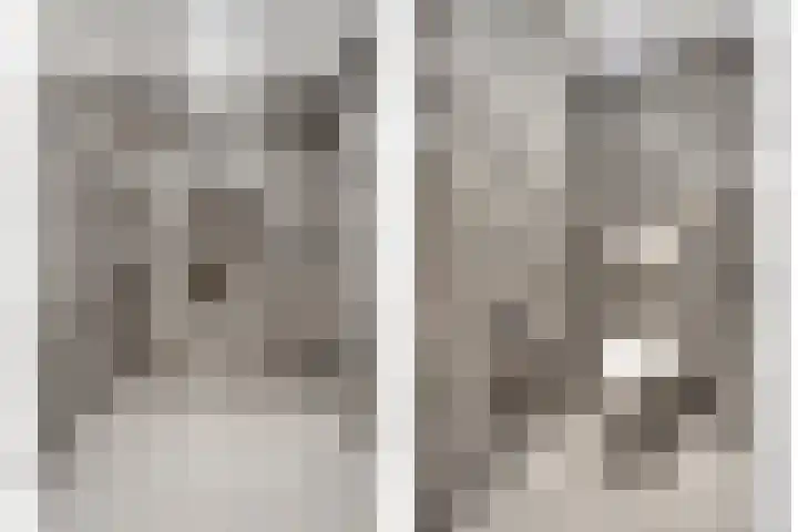 Egginklaan 2 24 Havelte thumbnail 33
