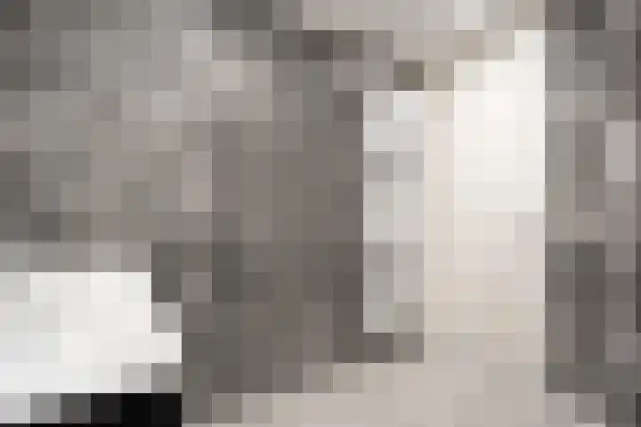 Egginklaan 2 24 Havelte thumbnail 34