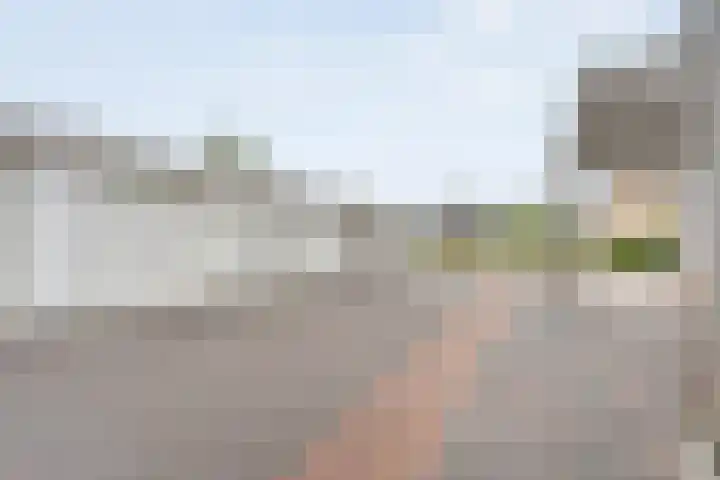 Egginklaan 2 24 Havelte thumbnail 36