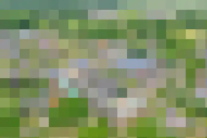Egginklaan 2 24 Havelte thumbnail 42