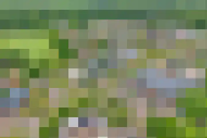 Egginklaan 2 24 Havelte thumbnail 5