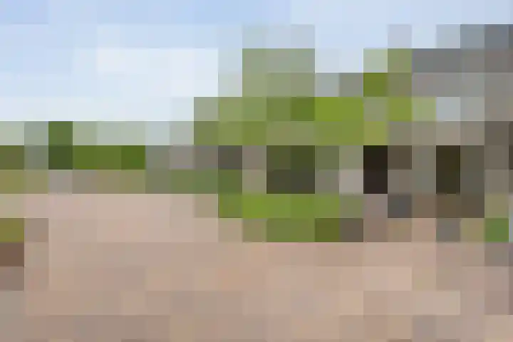 Egginklaan 2 24 Havelte thumbnail 9
