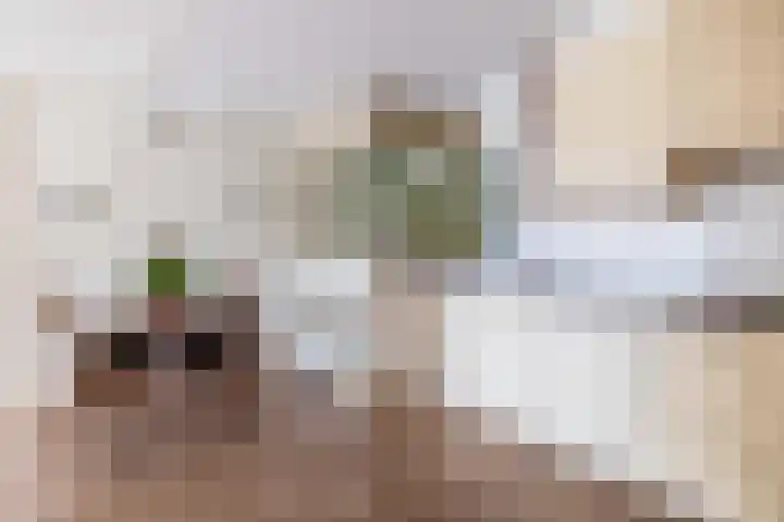Egginklaan 2 30 Havelte thumbnail 12