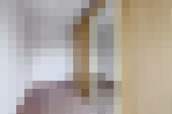 Egginklaan 2 30 Havelte thumbnail 22