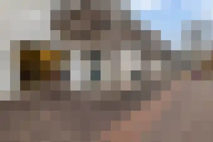 Egginklaan 2 30 Havelte thumbnail 34
