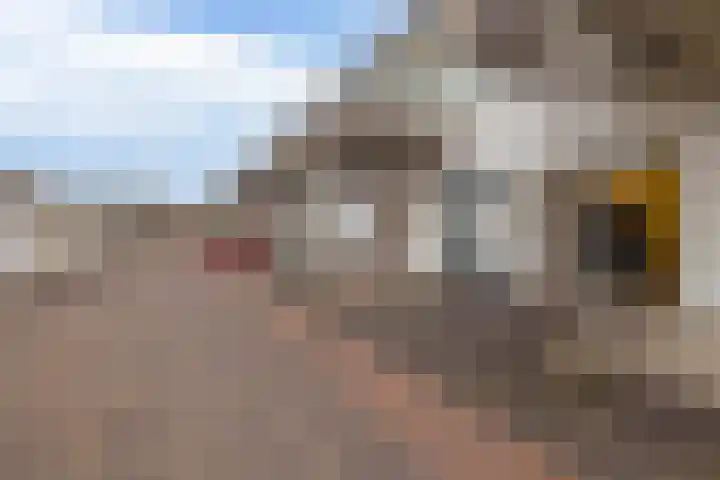 Egginklaan 2 30 Havelte thumbnail 35
