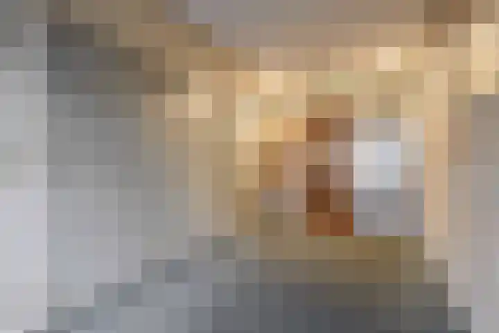 Egginklaan 2 30 Havelte thumbnail 39