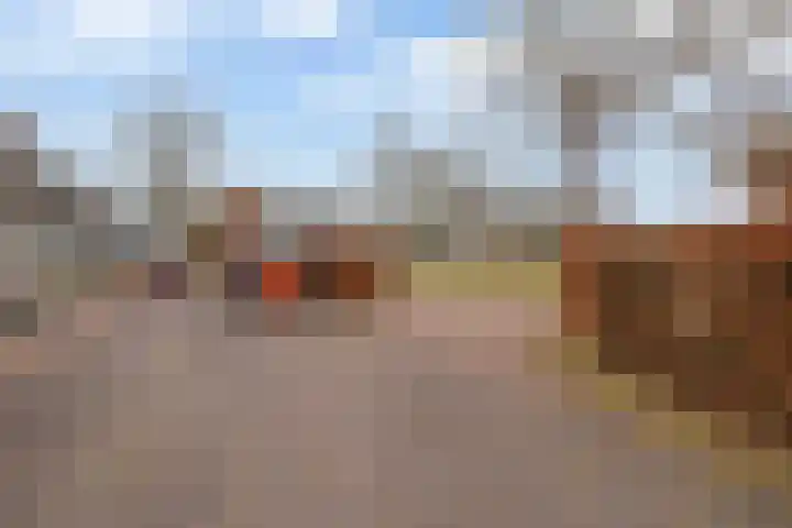 Egginklaan 2 30 Havelte thumbnail 41
