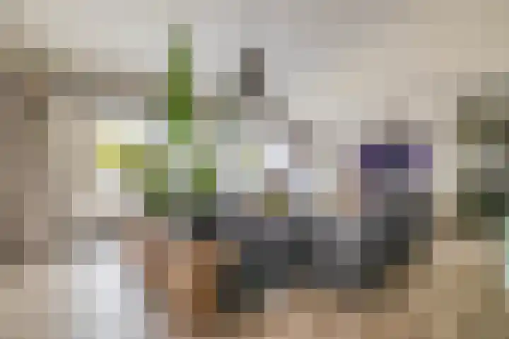 Egginklaan 2 42 Havelte thumbnail 19