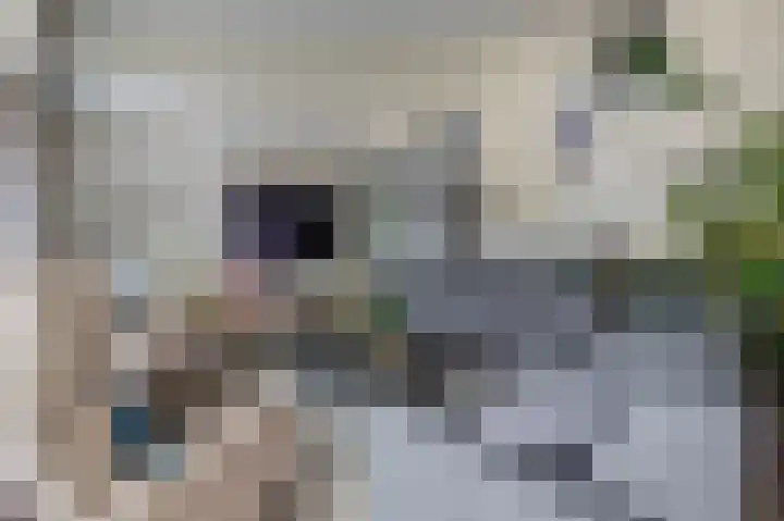 Egginklaan 2 42 Havelte thumbnail 20