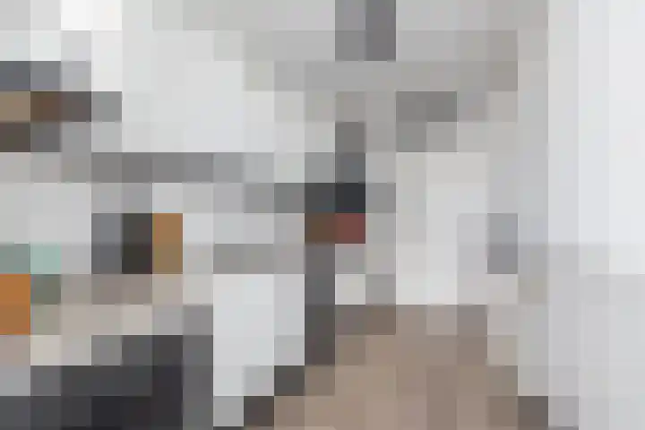 Egginklaan 2 42 Havelte thumbnail 21