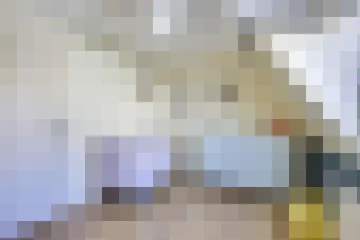 Egginklaan 2 42 Havelte thumbnail 23