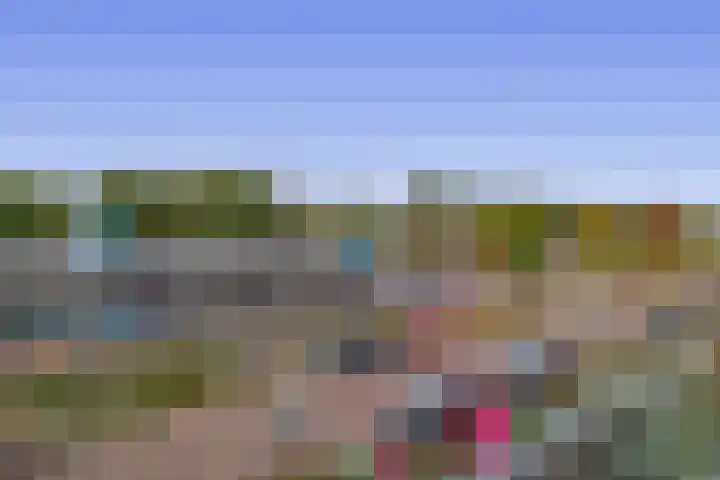 Egginklaan 2 42 Havelte thumbnail 24
