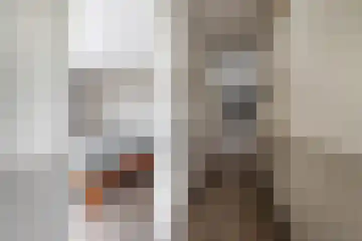 Egginklaan 2 42 Havelte thumbnail 27