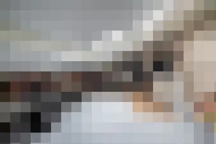 Egginklaan 2 42 Havelte thumbnail 34
