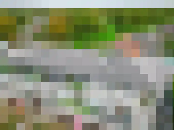 Egginklaan 2 42 Havelte thumbnail 43