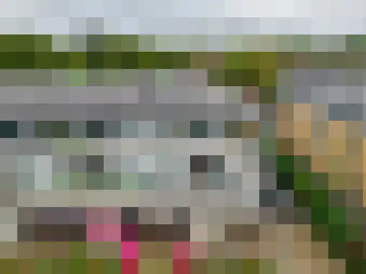 Egginklaan 2 42 Havelte thumbnail 46