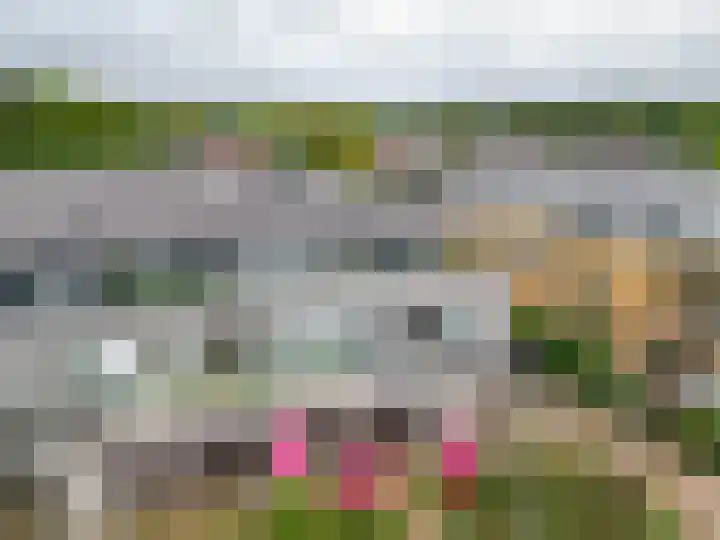 Egginklaan 2 42 Havelte thumbnail 47