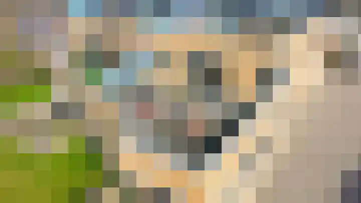 Egginklaan 4 8 Havelte thumbnail 32