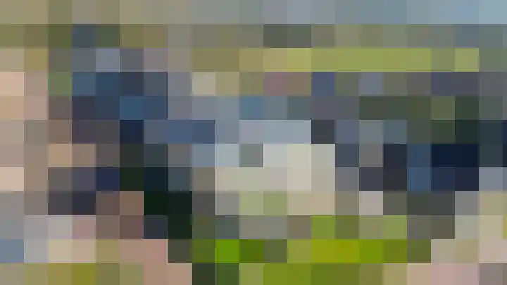 Egginklaan 4 8 Havelte thumbnail 45