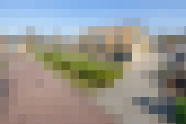 Egginklaan 4 8 Havelte thumbnail 5
