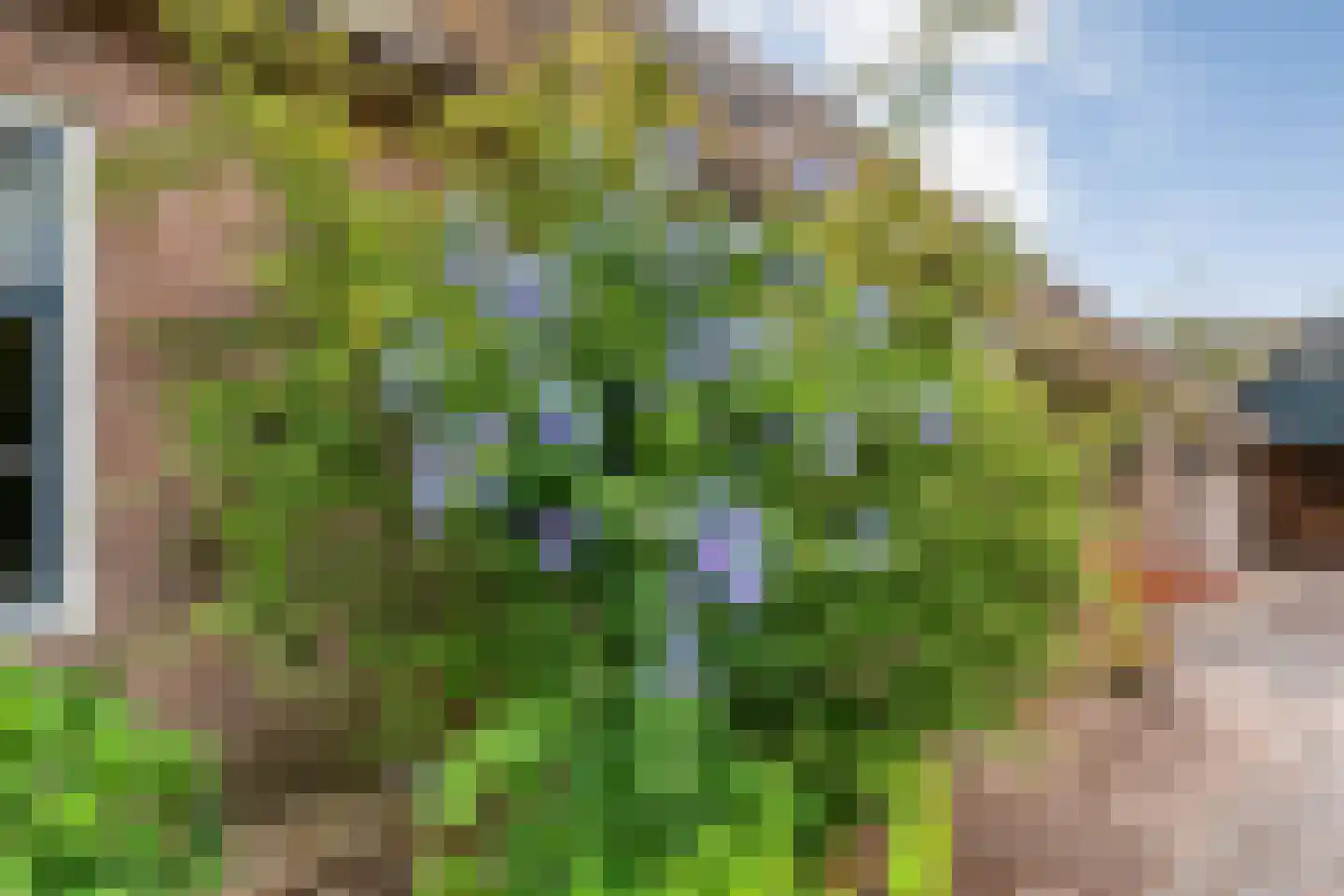 Egginklaan 8 Havelte thumbnail 10