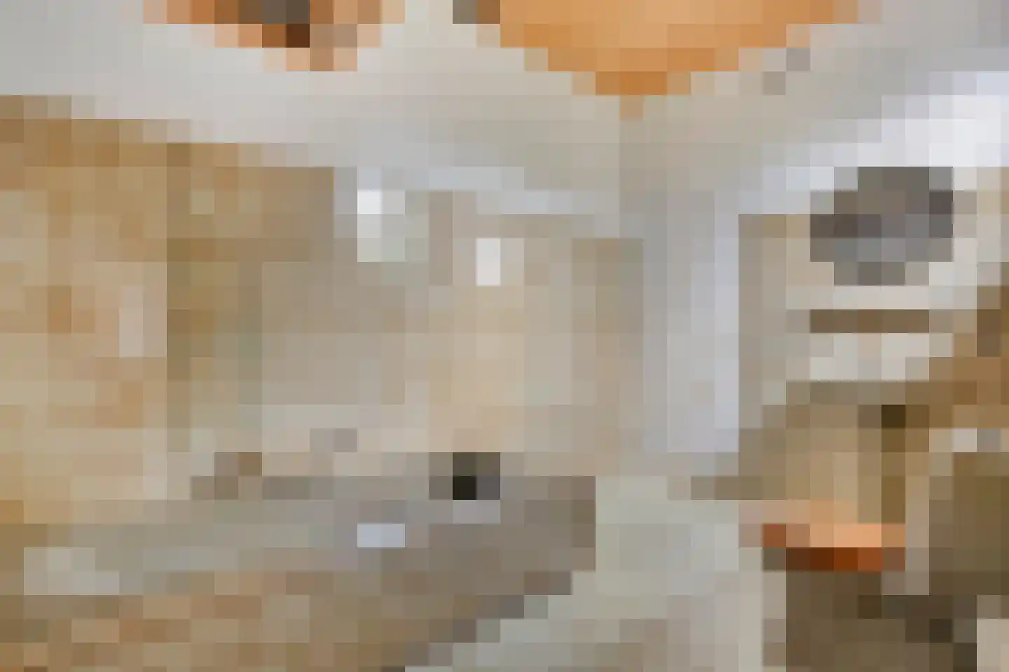 Egginklaan 8 Havelte thumbnail 25