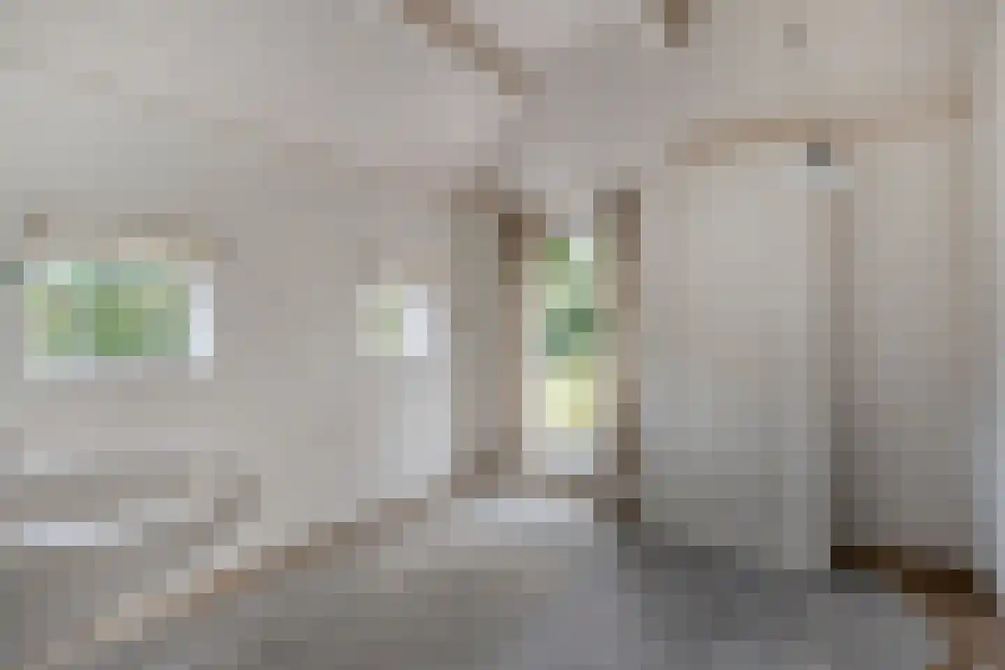 Egginklaan 8 Havelte thumbnail 28