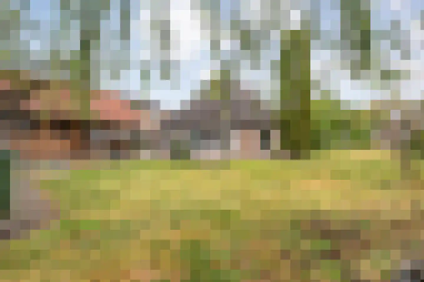 Egginklaan 8 Havelte foto 3