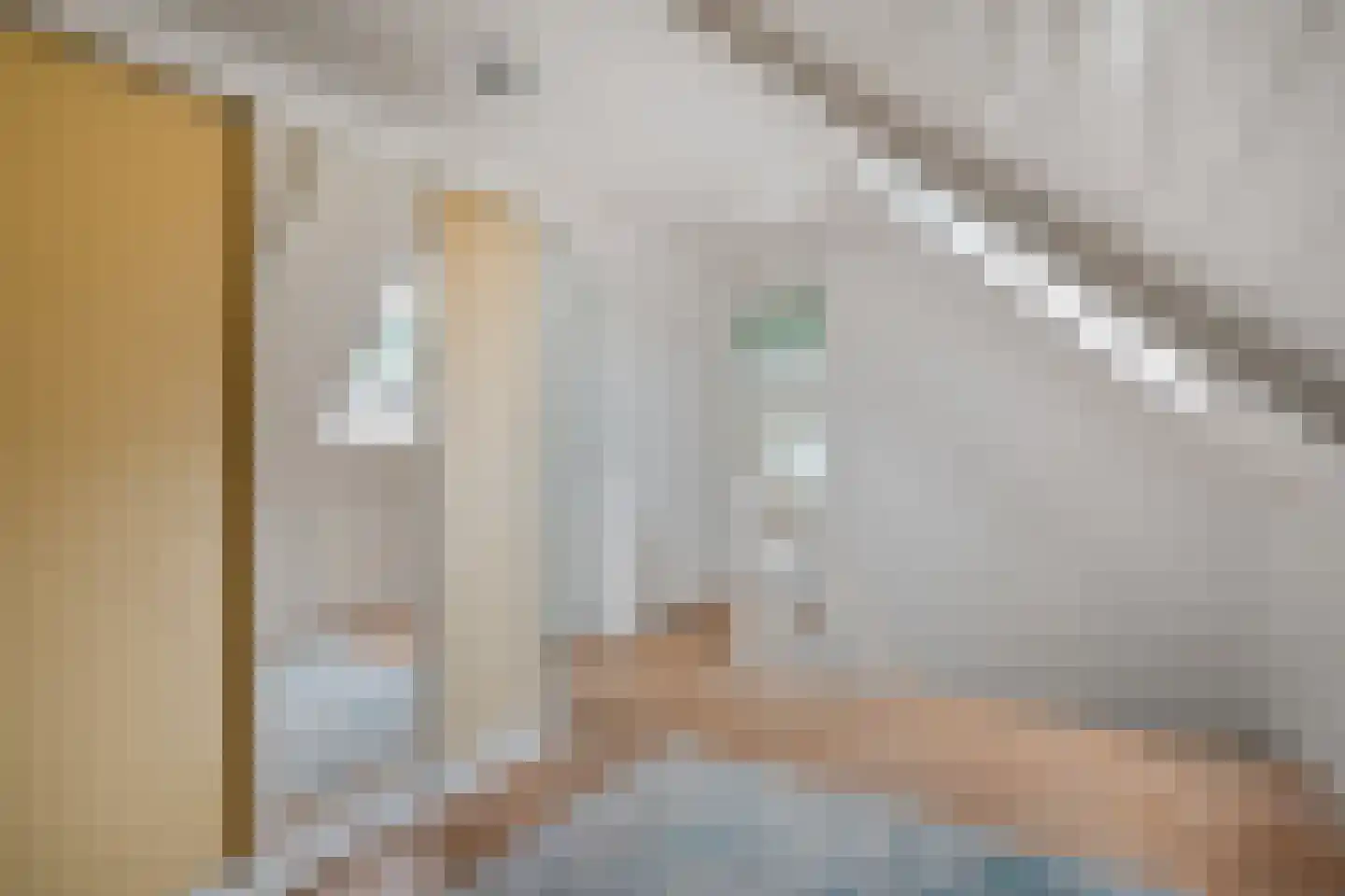 Egginklaan 8 Havelte thumbnail 36