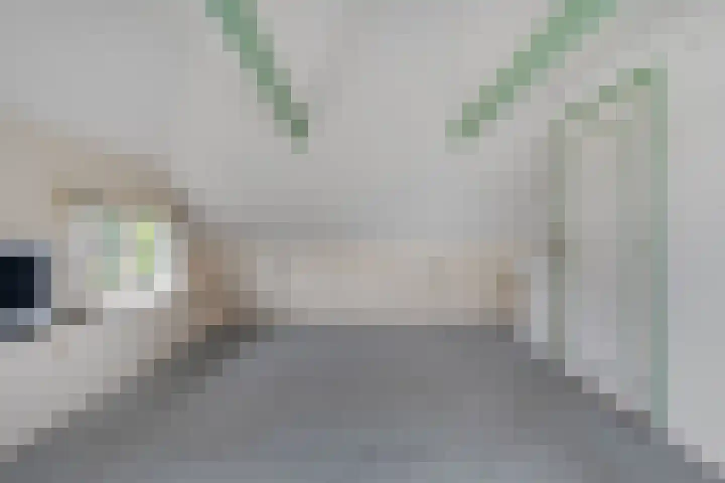 Egginklaan 8 Havelte thumbnail 39