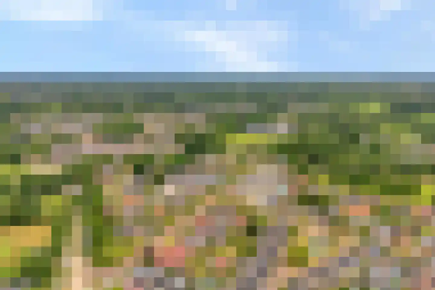 Egginklaan 8 Havelte thumbnail 53
