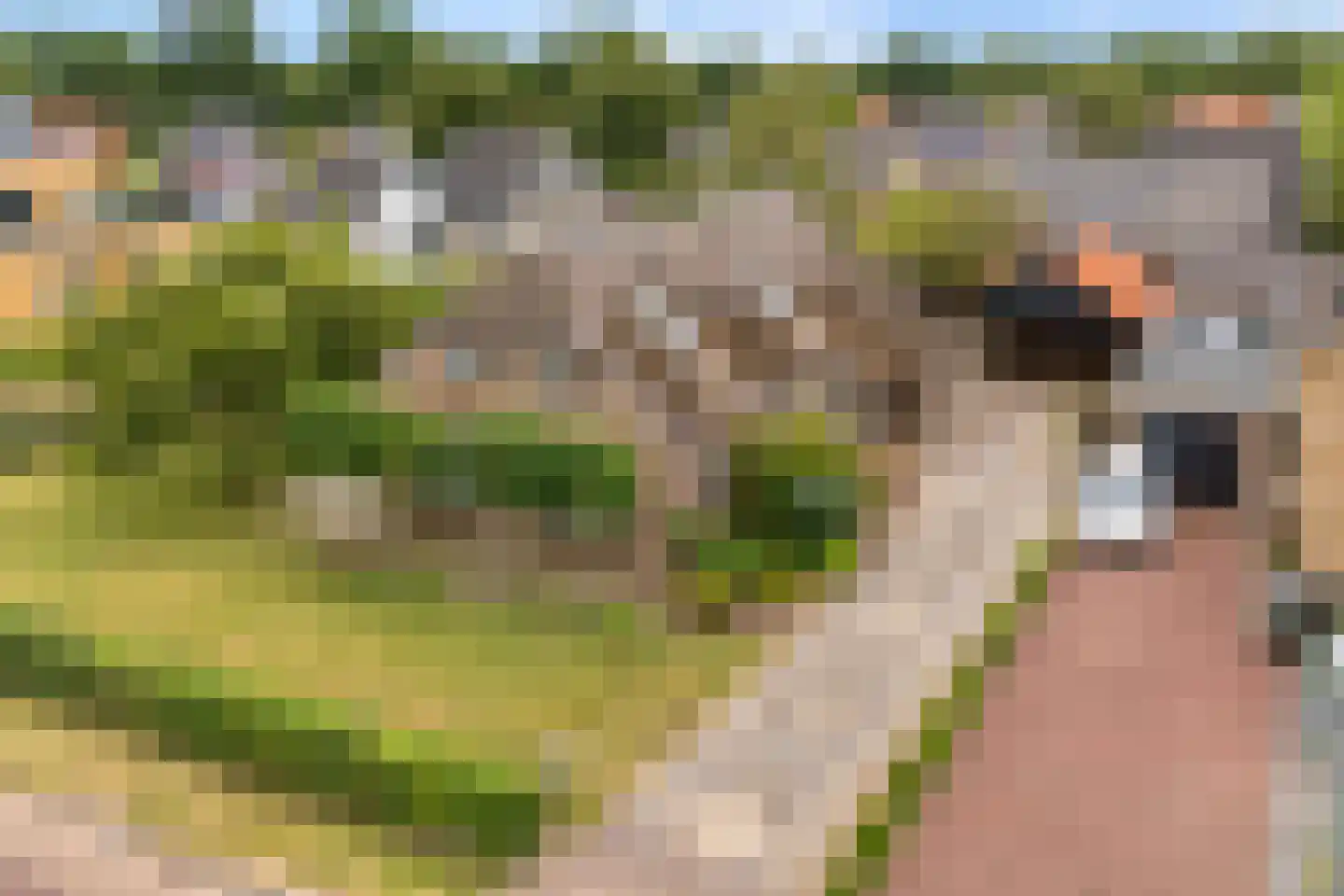 Egginklaan 8 Havelte thumbnail 6
