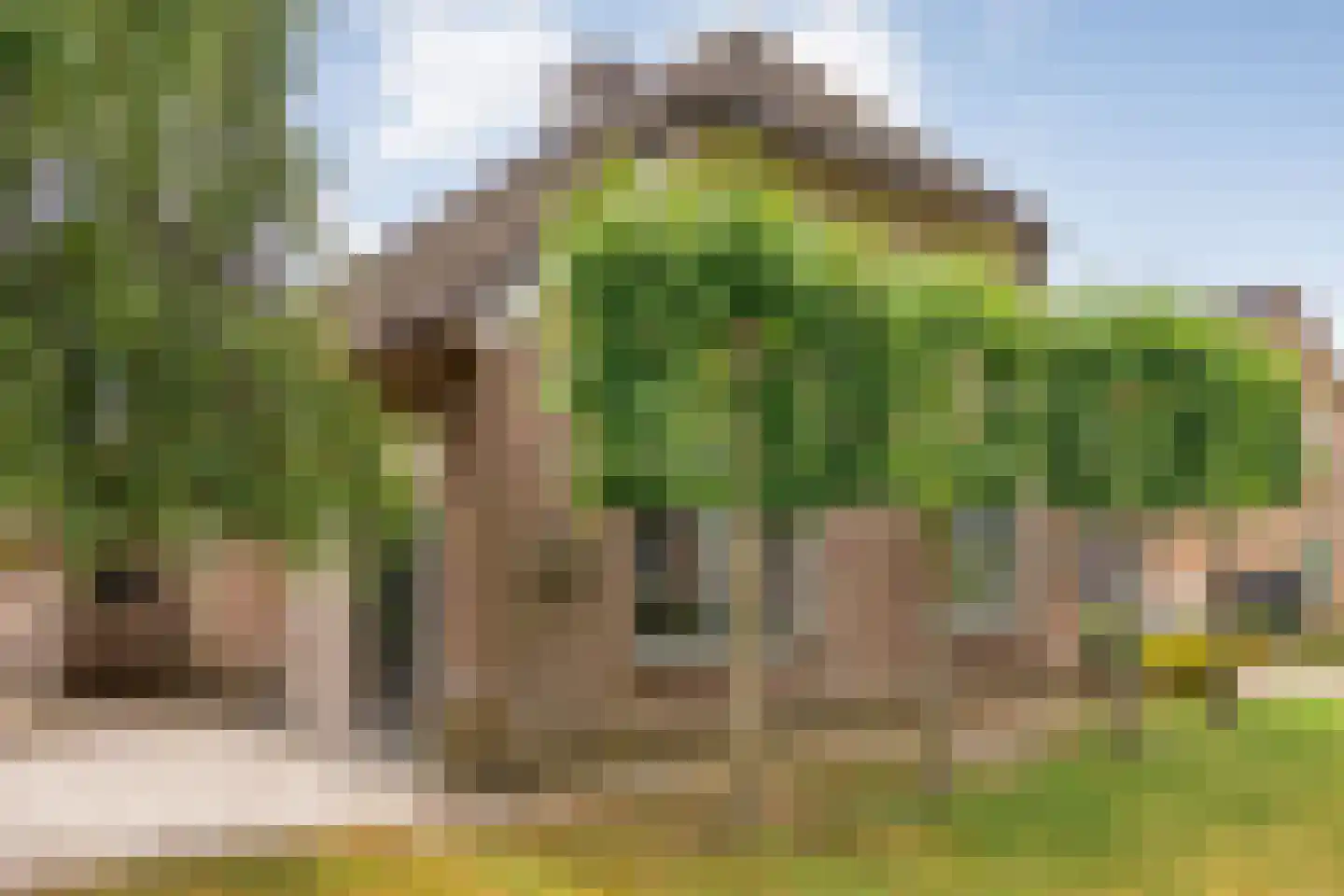 Egginklaan 8 Havelte thumbnail 8